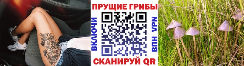 блэк спрут рабочий сайт Верхнеуральск Псилоцибиновые грибы MAGIC MUSHROOMS